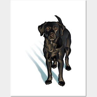 Black Lab Posters and Art